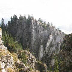 IMG 0614