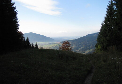 IMG 0620
