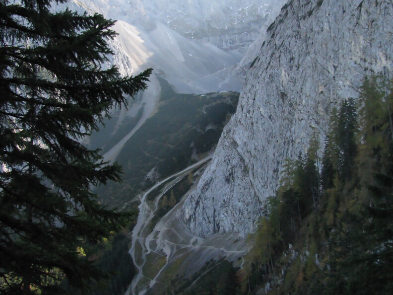 IMG 0631
