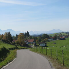IMG 0663