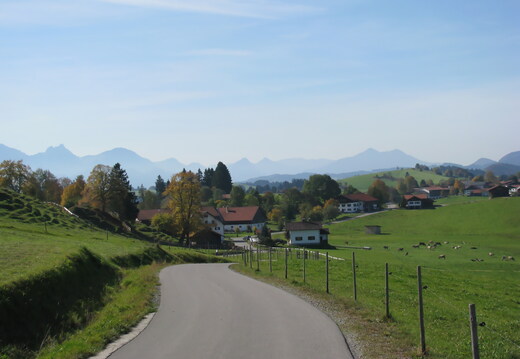 IMG 0663