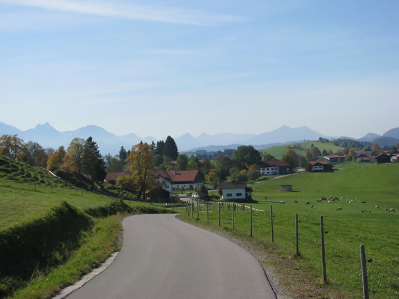 IMG 0663
