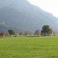 IMG 0672