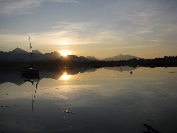 IMG 0683