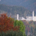 IMG 0694
