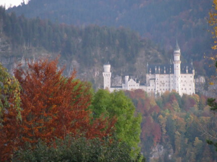IMG 0694