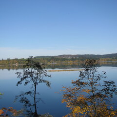 IMG 0695