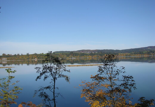 IMG 0695