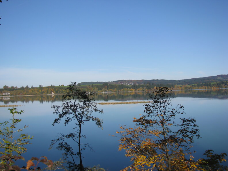 IMG 0695