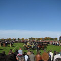 IMG 0702
