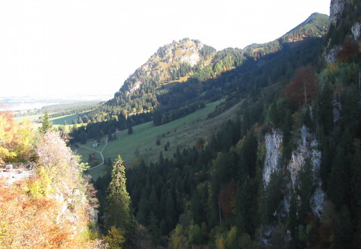 IMG 0711