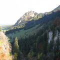 IMG 0711