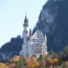 IMG 0721