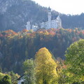 IMG 0724