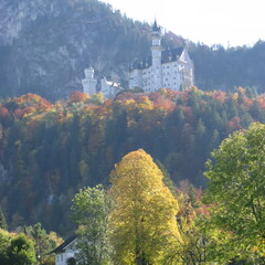IMG 0724