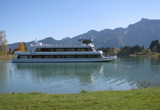 IMG 0726