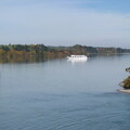 IMG 0727