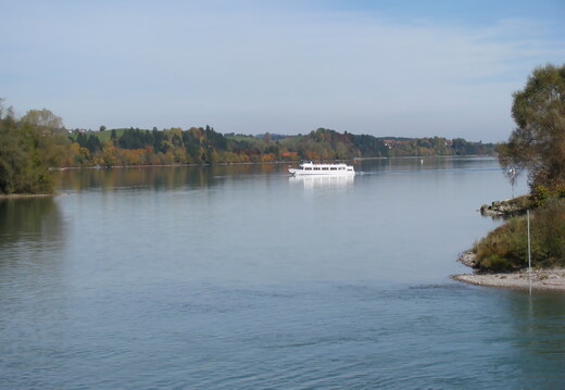 IMG 0727