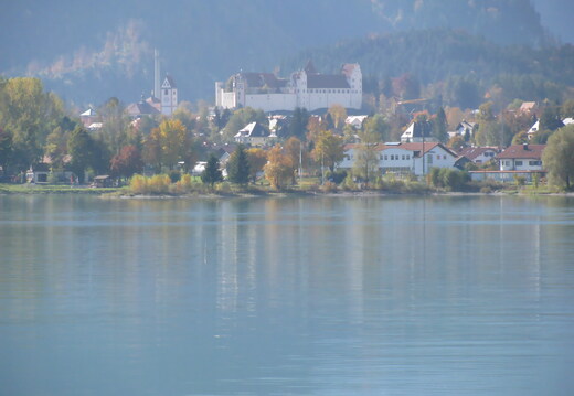 IMG 0731