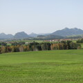 IMG 0755