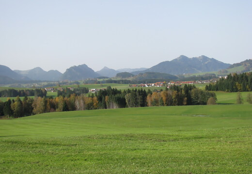 IMG 0755