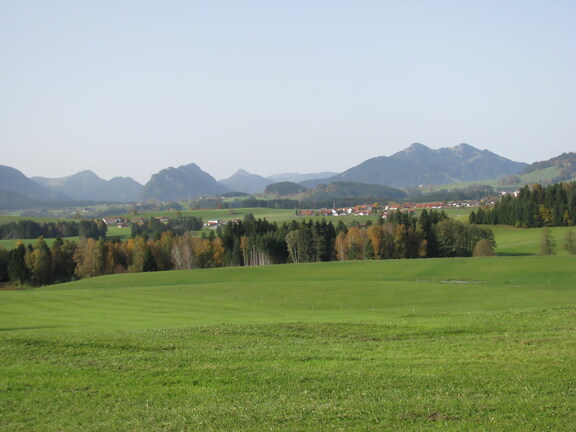 IMG 0755