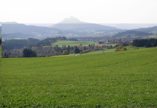 IMG 0761