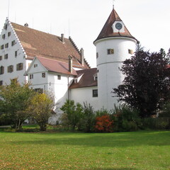 IMG 0770